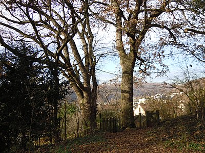 ND-2-Eichen-Herrlesberg-Tuebingen-366.jpg