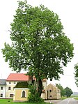 Gasthaus-Esche in Handenberg