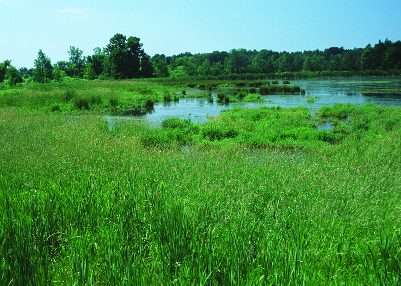 File:NRCSMI01058 - Michigan (4705)(NRCS Photo Gallery).tif