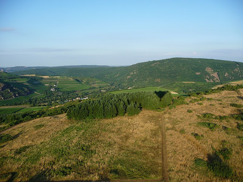 File:Nahetal mit ehem. Weinbaudomäne und Lemberg - panoramio.jpg