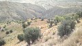 Navidhand village Spinpe Gharze Mountain 145 - panoramio.jpg