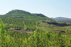 A small hill covered with trees rising over the surrounding landscape