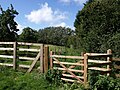 New gate to footpath west from Killam's Lane at Haygrass, Somerset.jpg