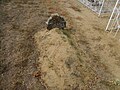 Old grave in Stepanivka 2.jpg