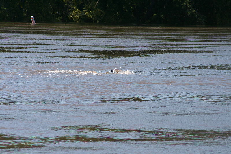 File:Oregon, Illinois Oregon Dam 09.JPG