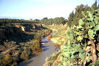 Oued Sig in 1975 Oued sig.jpg