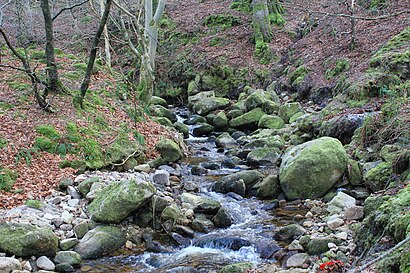 How to get to Owendoher River with public transit - About the place