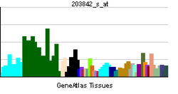 PBB GE MAPRE3 203842 s ĉe tn.png