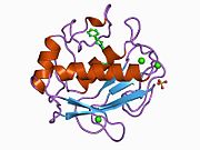 PDB 1b8y EBI.jpg