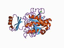 PDB 1cse EBI.jpg