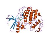 PDB 1e1v EBI.jpg