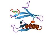 PDB 1fao EBI.jpg