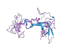 Молекулярная структура белка.[1]
