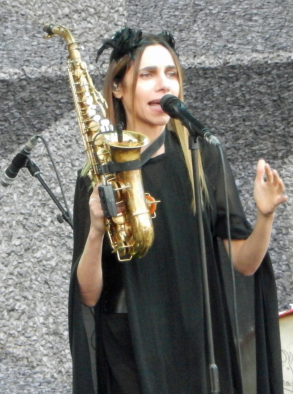 Pj Harvey Wikipedia