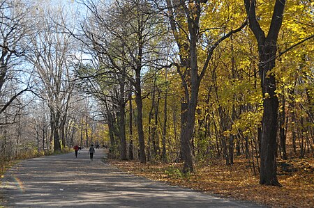 Park Mont Royal (5203038181)