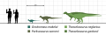 Parksosaurids Scale Diagram