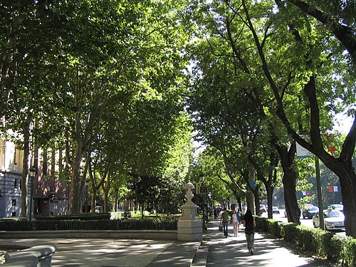 Paseo del Prado things to do in Alcala de Henares