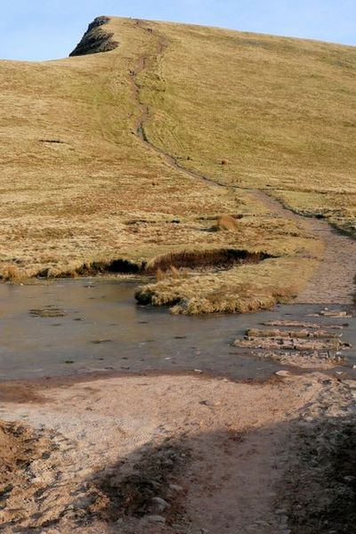 File:Path towards Cribyn - geograph.org.uk - 1107985.jpg