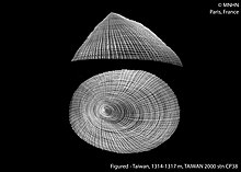 Pectinodonta orientalis (MNHN-IM-2009-4239) 001.jpeg