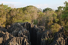 Tsingy de Bemaraha