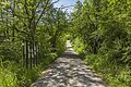 * Nomination Bridge over Weilerbach river, part of "biodiversity trail" in nature reserve Weilersbachtal --Plozessor 04:50, 28 December 2023 (UTC) * Promotion  Support Good quality. --Velvet 09:09, 28 December 2023 (UTC)