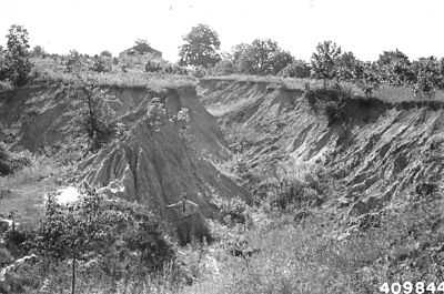 Photograph of Gully Erosion - NARA - 2129077.jpg