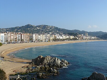 Com arribar a Playa de Lloret amb transport públic - Sobre el lloc