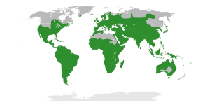 Polygaleae distribution.svg