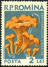 Posta Romana - 1958 - mushroom 2 LEI.jpg