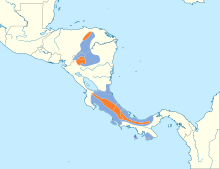Procnias tricarunculatus map.svg