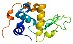 Protein LALBA PDB 1a4v.png