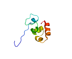 Протеин SVIL PDB 2K6M.png