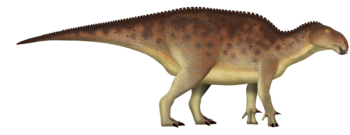 Qianjiangsaurus UDL.png