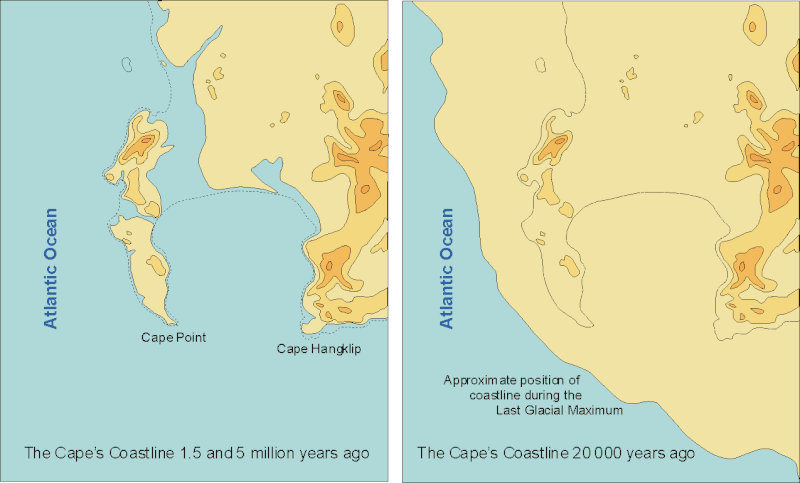 File:Quaternary Coastlines A5.gif