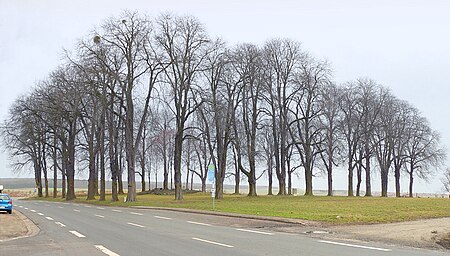 Räbke Thingplatz