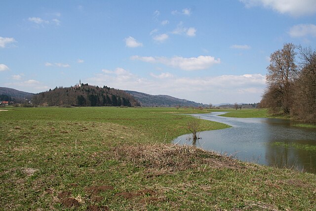 Radensko polje