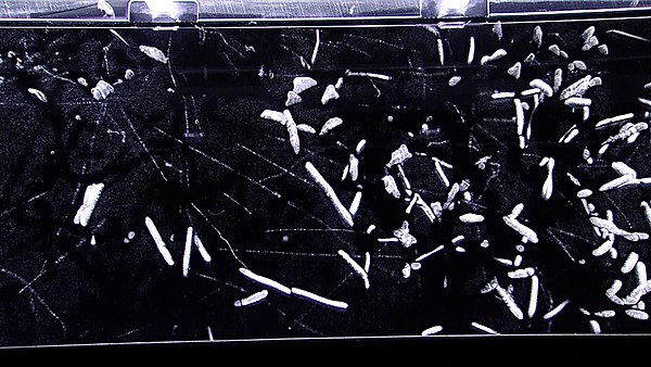 Some kinds of ionizing radiation can be detected in a cloud chamber.