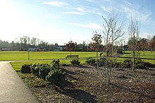 Athletic fields and landscaping Reedville Creek Park fields.JPG