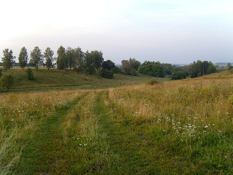 File:Road - panoramio - Pavlik Ch.jpg