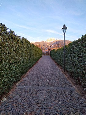 Road with hedges and lamppost - Photo by Giovanni Ussi