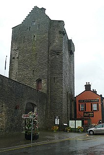 Roscrea Castle Building in Roscrea, Ireland