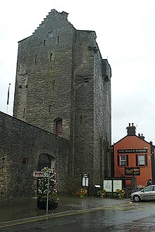 Gate Tower of Roscrea Castle Roscrea Castle.jpg