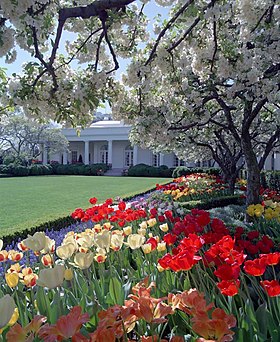 Rosaleda de la Casa Blanca - Wikipedia, la enciclopedia libre