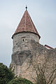 Schar watchtower, so-called Burgeck or Schneiderstürmle