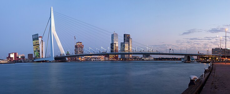 Hollanda, Rotterdam'da bulunan Erasmusbrug, kentin içinden geçen Nieuwe Maas Nehri'nin üzerinde yer almaktadır. Ben van Berkel tarafından tasarımlanan köprü tek bir asimetrik sütun tarafından taşınmaktadır. Köprünün takma adı olan "The Swan" (kuğu) adlandırması bundan kaynaklanmaktadır.(Üreten:Massimo Catarinella)