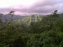 Sahyadri durch dichte Vegetation