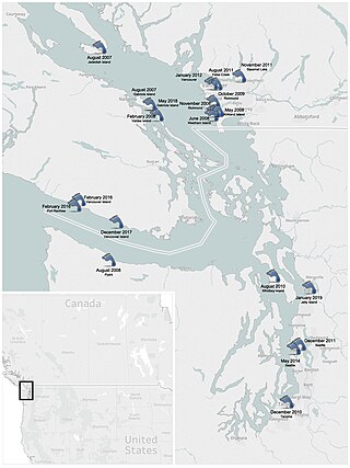 <span class="mw-page-title-main">Salish Sea human foot discoveries</span> Detached human feet found on the Canadian coast