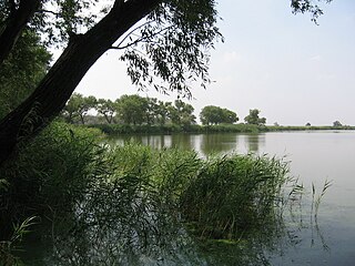 Semera,  Afar Region, Эфиопия