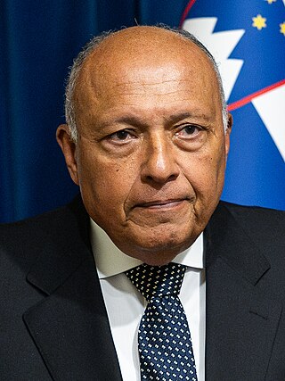 <span class="mw-page-title-main">Sameh Shoukry</span> Egyptian diplomat (born 1952)