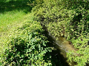 La Sauvanie en aval du pont de l'Épine basse, en limite de Lusignac et Bertric-Burée.